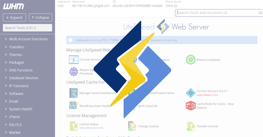 LiteSpeed cPanel plugin privilege escalation CVE-2026-48172